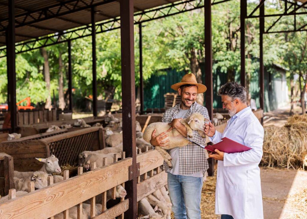 Optimizing Care: 5 Ways Injectable Ampicillin Aids Veterinary Medicine